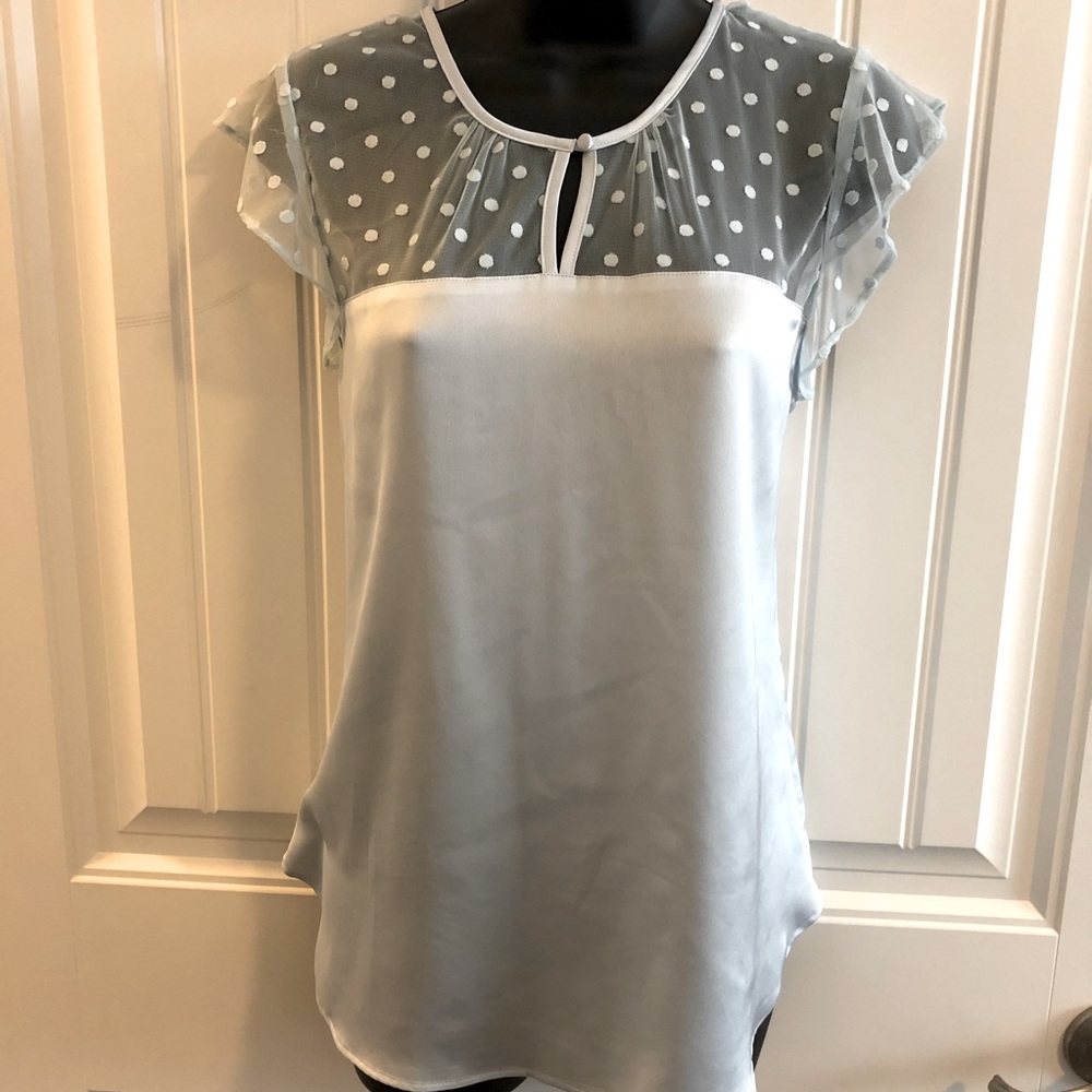 Ann Taylor Factory Baby Blue Blouse